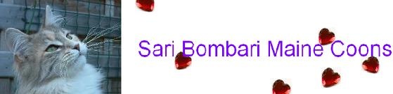 Ban Sari Bombari